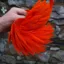 Whiting Exclusive WET Fly Hen Cape in Hot Orange